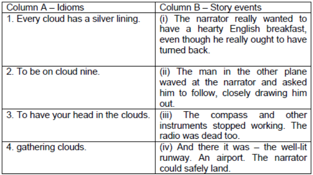 MCQs for NCERT Class 10 English Chapter Two Stories about Flying– II. Black Aeroplane